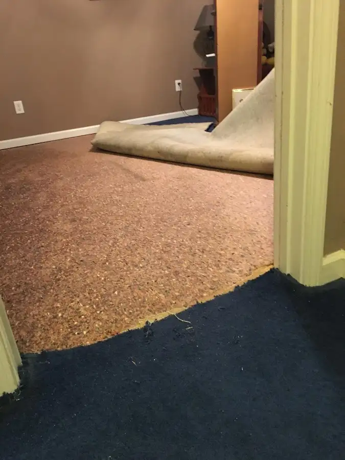 Carpet pad removal revealing water damage during Water Mitigation Services in Anderson