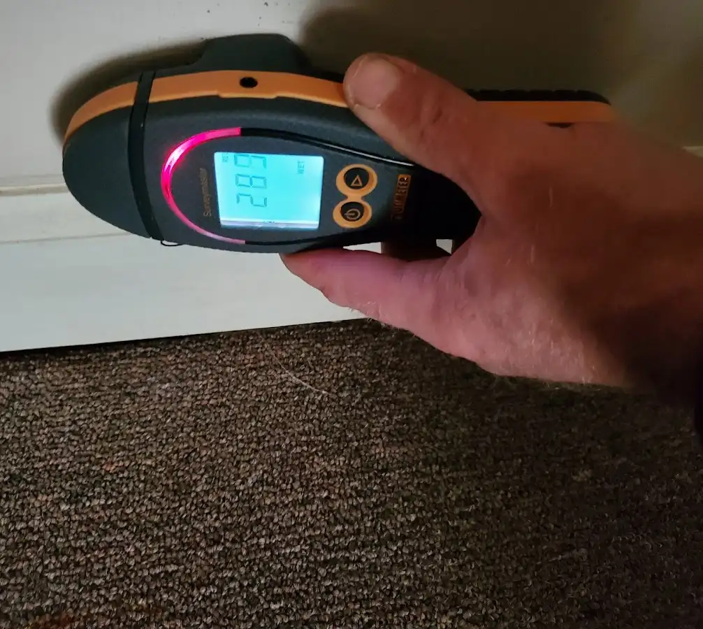 Moisture detection at baseboard during Sewage Cleanup & Sanitation in Anderson